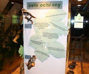 Nasza przyroda, Zagrożenia, cele i formy jej ochrony