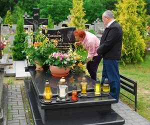 Rośliny lecznicze w kulturze, nauce i sztuce,