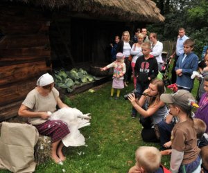 Wykopki w Skansenie