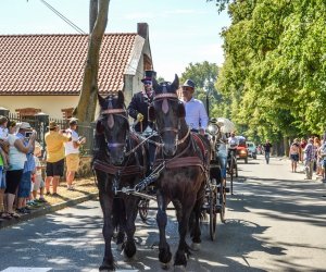 XV Podlaskie Święta Chleba w Muzeum Rolnictwa im. ks. Krzysztofa Kluka w Ciechanowcu