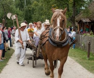XVII Podlaskie Święto Chleba - fotorelacja