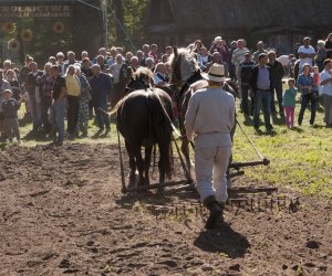 JESIEŃ W POLU I ZAGRODZIE w ramach Europejskich Dni Dziedzictwa 18 września 2016 r.