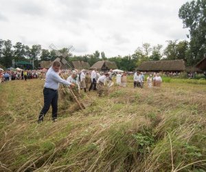 XVII Podlaskie Święto Chleba - fotorelacja