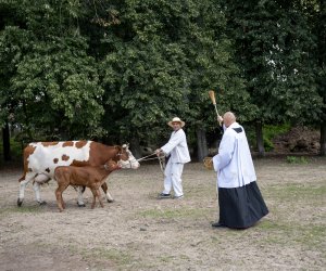 XXIII Podlaskie Święto Chleba - fotorelacja