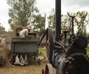 XXIII Podlaskie Święto Chleba - fotorelacja