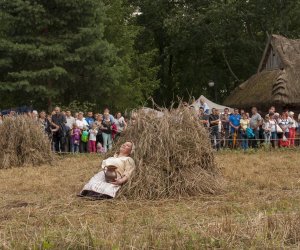 XVI Podlaskie Święto Chleba