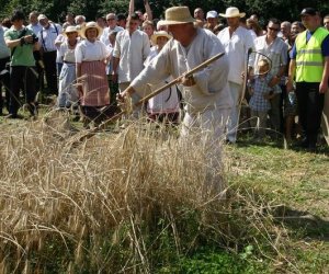 IX Podlaskie Święto Chleba