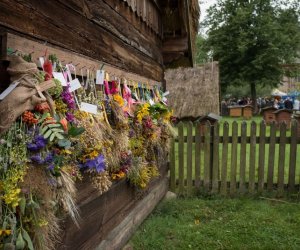XVII Podlaskie Święto Chleba - fotorelacja