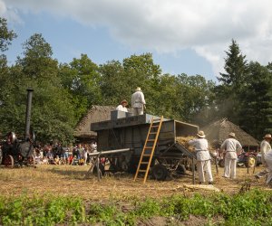 XXIII Podlaskie Święto Chleba - fotorelacja