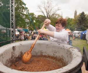 Jarmark Św. Wojciecha i Festyn Leśny 2014