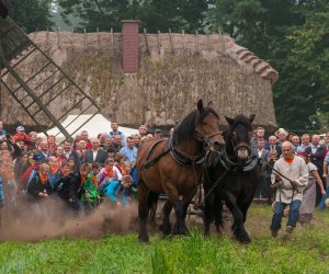 JESIEŃ W POLU I ZAGRODZIE