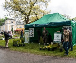 Jarmark św. Wojciecha i Święto Lasu