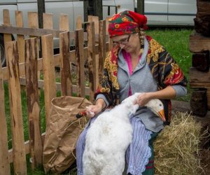 Jesień w Polu i Zagrodzie 2018 - fotorelacja