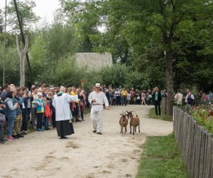 XVII Podlaskie Święto Chleba - fotorelacja