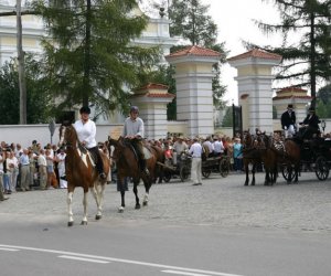 VII PODLASKIE ŚWIĘTO CHLEBA