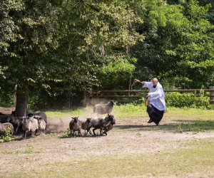XXIII Podlaskie Święto Chleba - fotorelacja