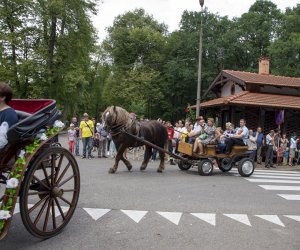 XVI Podlaskie Święto Chleba