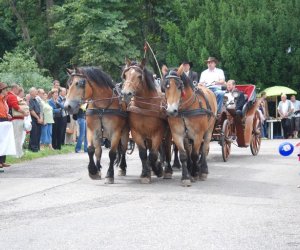 VIII PODLASKIE ŚWIĘTO CHLEBA