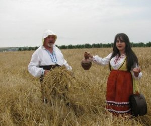 "Żniwa po bułgarsku"