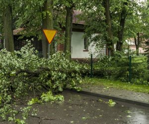 Nawałnica w ciechanowieckim muzeum