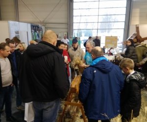 Narodowa Wystawa Rolnicza w Poznaniu