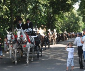 IX Podlaskie Święto Chleba