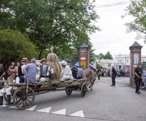 XVI Podlaskie Święto Chleba