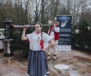 Ligawki 2018