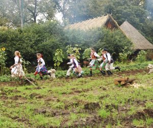 Wykopki w skansenie podsumowanie, fotorelacja.