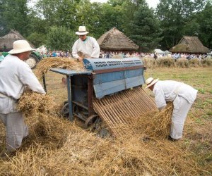 XVII Podlaskie Święto Chleba - fotorelacja