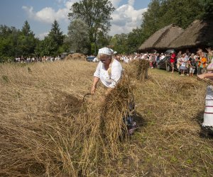 XXIII Podlaskie Święto Chleba - fotorelacja