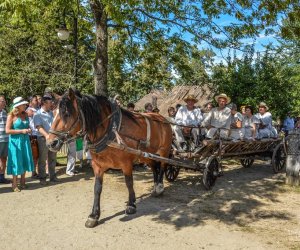 XV Podlaskie Święta Chleba w Muzeum Rolnictwa im. ks. Krzysztofa Kluka w Ciechanowcu