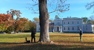 Zakończenie zadania - Konserwacja i pielęgnacja drzew Zakończenie zadania - Konserwacja i pielęgnacja drzew