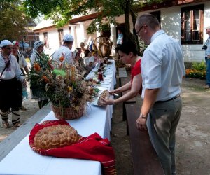 X PODLASKIE ŚWIĘTO CHLEBA