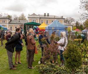 Jarmark św. Wojciecha 2016