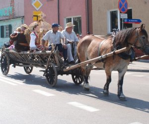 X PODLASKIE ŚWIĘTO CHLEBA