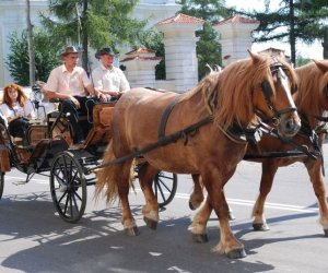 IX Podlaskie Święto Chleba