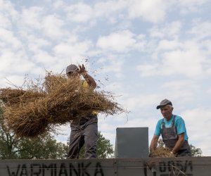 XVI Podlaskie Święto Chleba