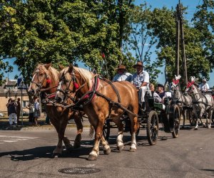 XV Podlaskie Święta Chleba w Muzeum Rolnictwa im. ks. Krzysztofa Kluka w Ciechanowcu