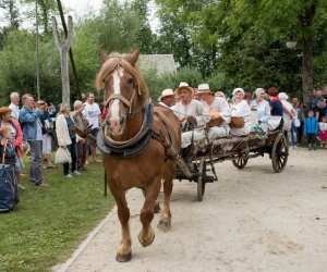 XVII Podlaskie Święto Chleba - fotorelacja