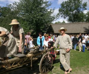 XII Podlaskie Święto Chleba, 12.08.2012 r.