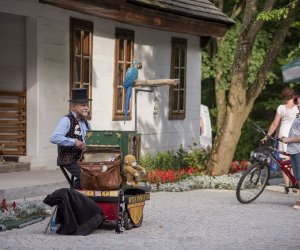 Odpust na św. Antoniego - fotorelacja