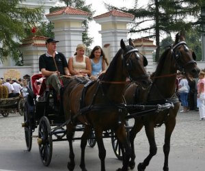 VII PODLASKIE ŚWIĘTO CHLEBA