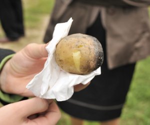 Wykopki w skansenie podsumowanie, fotorelacja.