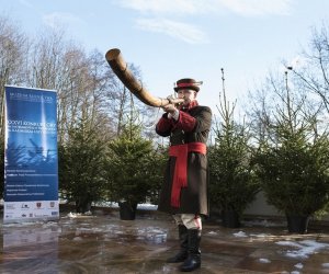 LIGAWKI 2016 - Fotorelacja z konkursu