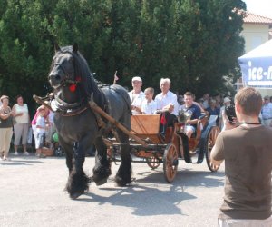 X PODLASKIE ŚWIĘTO CHLEBA
