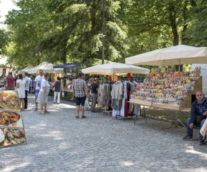 Odpust na św. Antoniego - fotorelacja