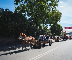 XVIII Podlaskie Święto Chleba - fotorelacja