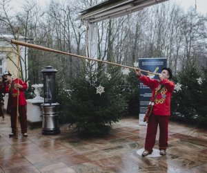 Ligawki 2018