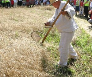 IX Podlaskie Święto Chleba